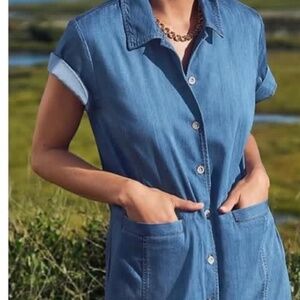 Cabi “Piece of Cake” Dress, Medium